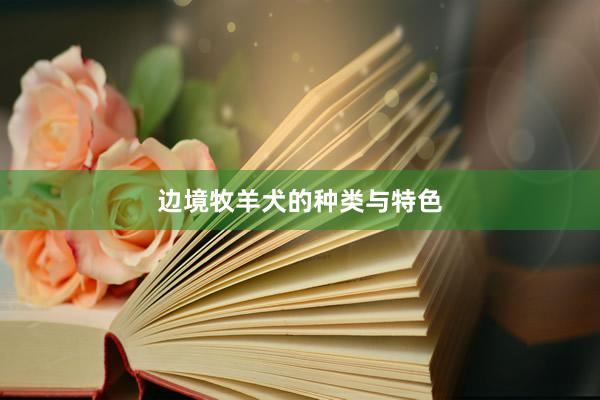 边境牧羊犬的种类与特色